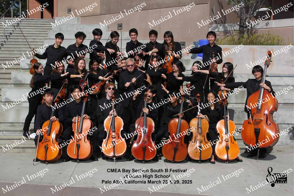 Musical Images